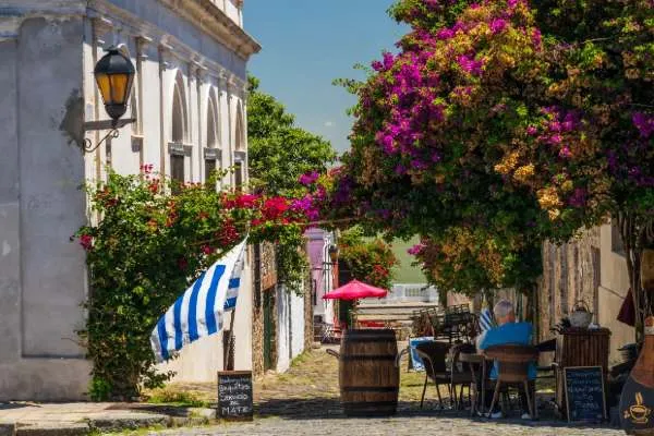 Terraza con un  senor sentado bajo un arbol en flores